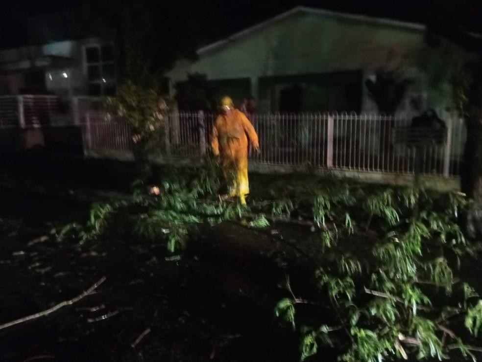 Image: https://thefolha.news/wp-content/uploads/2025/09/postiimg-68dbe4e1b83383954.jpeg Em Cunha Por rvore caiu sobre rua sendo necessrio o corte e a remoo com apoio de populares Foto Corpo de BombeirosDivulgao