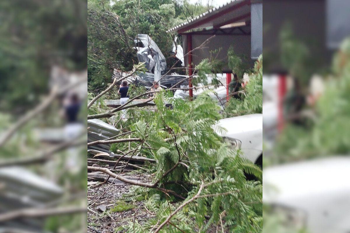Image: https://thefolha.news/wp-content/uploads/2025/11/postiimg-690f7cbde59304696.jpg Galhos e rvores caram sobre casas e carros obstruindo a passagem